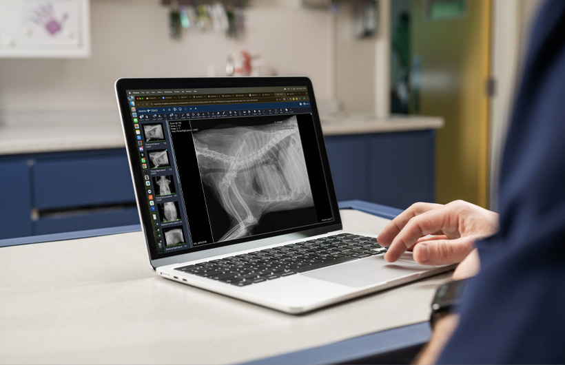 Detaillierte Röntgenbilder und Ultraschallscans werden live auf dem MacBook Air angezeigt.
